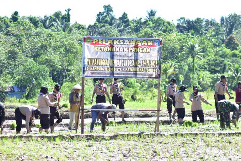 WhatsApp Image 2025-05-27 at 20.37.27