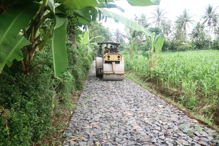 WhatsApp Image 2025-05-27 at 22.43.46