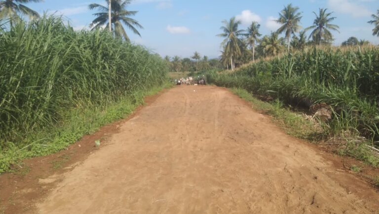 WhatsApp Image 2025-05-30 at 10.31.48 (1)