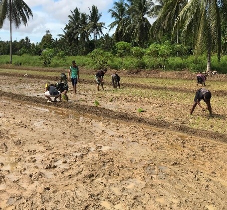 WhatsApp Image 2025-06-01 at 19.14.25 (1)