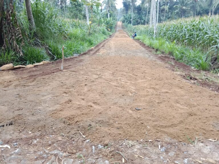 WhatsApp Image 2025-06-01 at 23.39.51 (2)