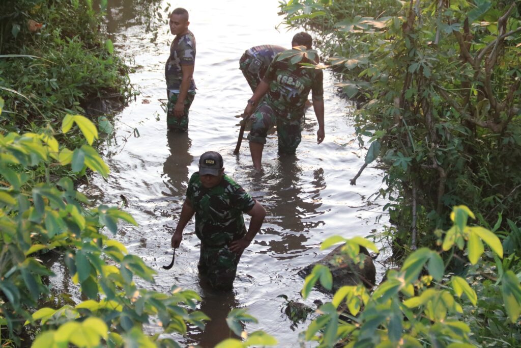 WhatsApp Image 2025-06-04 at 00.10.16