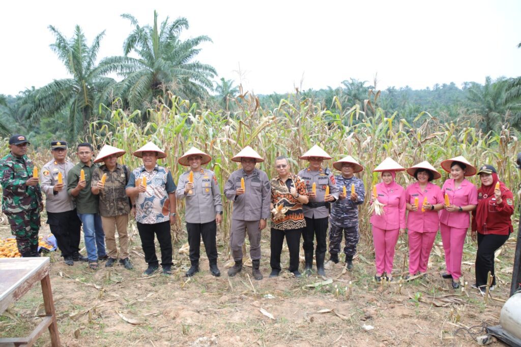 WhatsApp Image 2025-06-07 at 15.51.29