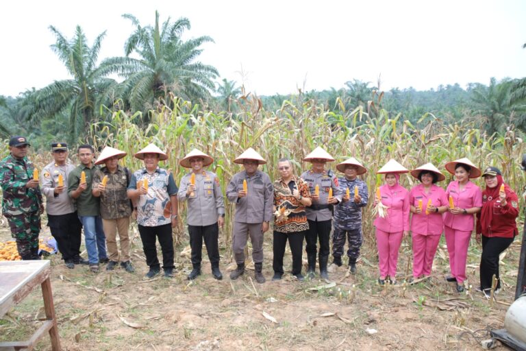 WhatsApp Image 2025-06-07 at 15.51.29