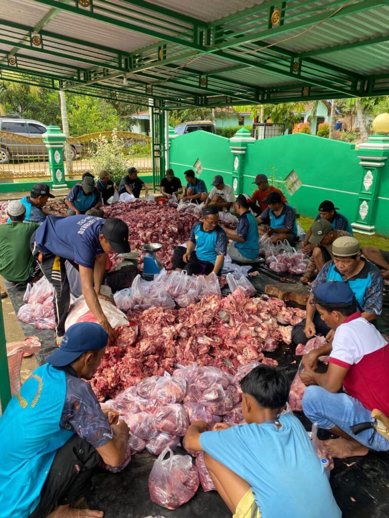 WhatsApp Image 2025-06-07 at 20.31.10