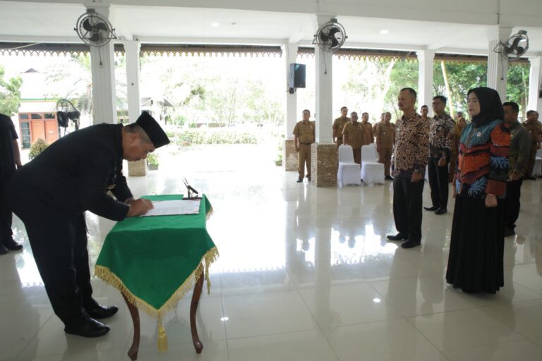 WhatsApp Image 2025-06-18 at 14.27.48