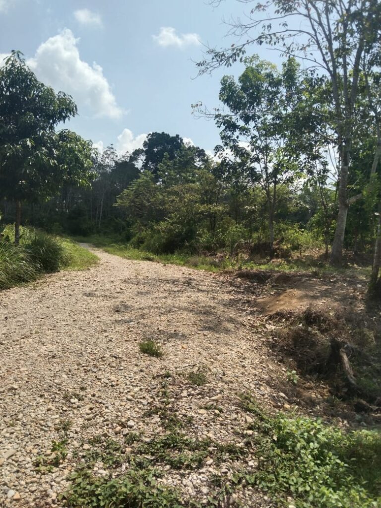 WhatsApp Image 2025-07-04 at 13.58.57