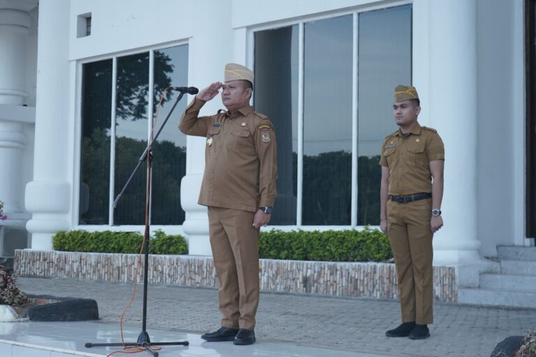 WhatsApp Image 2025-07-08 at 11.36.10