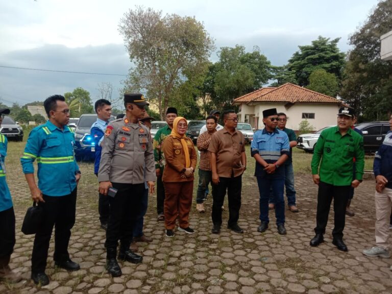 WhatsApp Image 2025-07-08 at 17.37.28