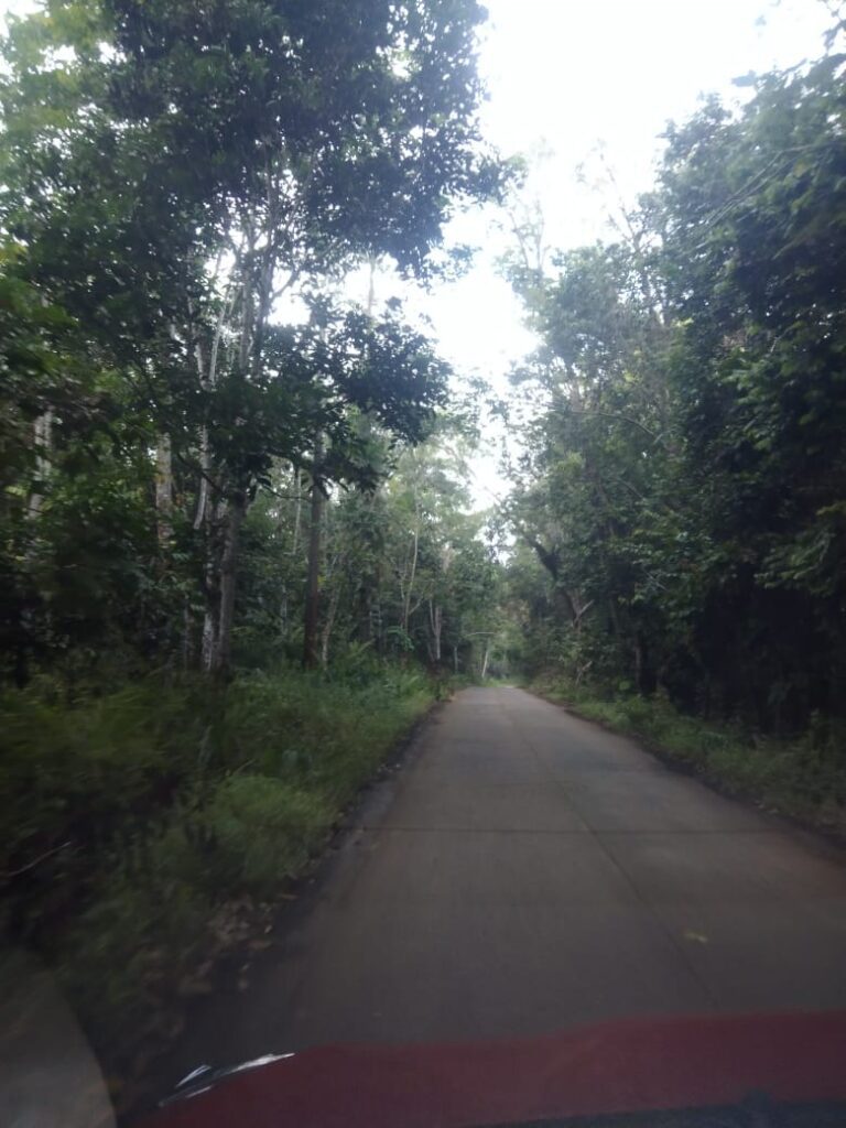 WhatsApp Image 2025-07-16 at 19.00.47