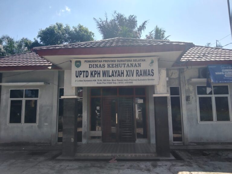 WhatsApp Image 2025-07-18 at 20.01.40