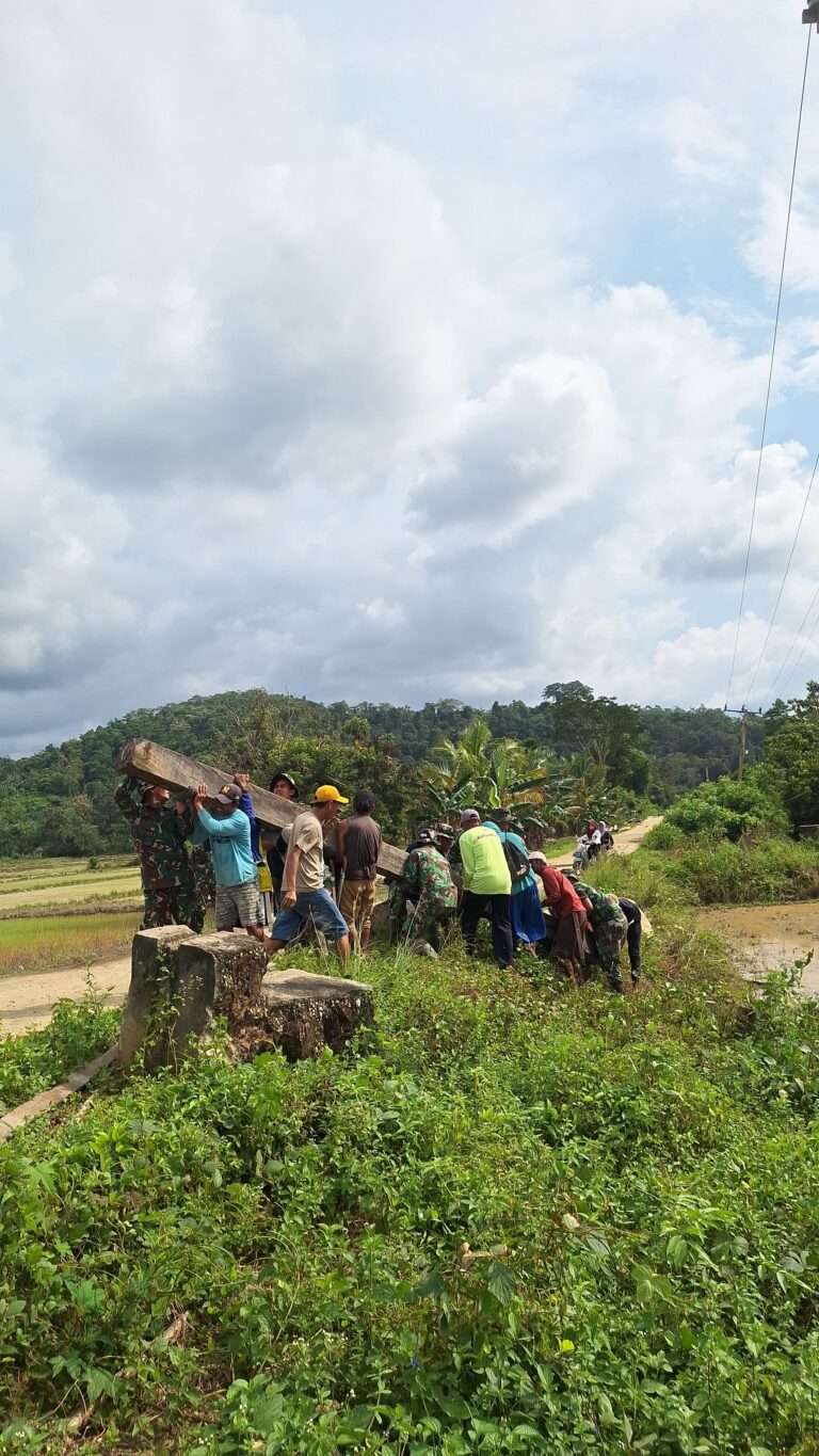 WhatsApp Image 2025-07-23 at 11.33.36