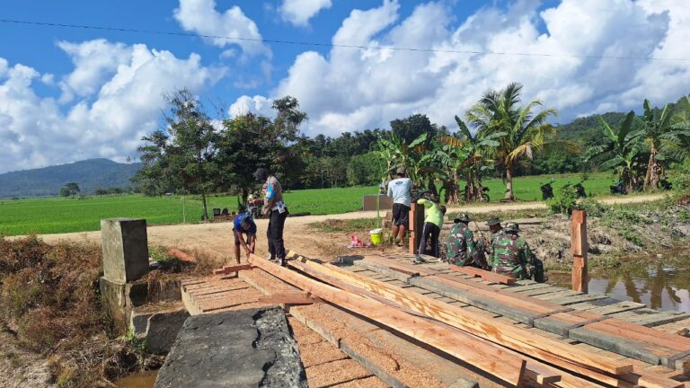 WhatsApp Image 2025-07-30 at 07.18.55 (2)