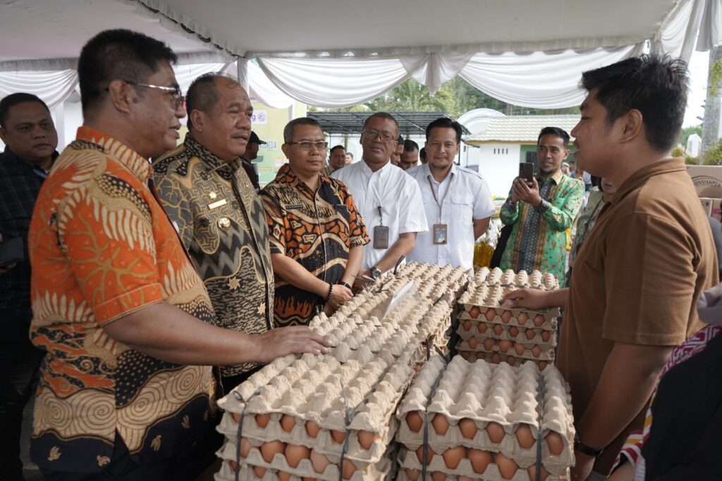 WhatsApp Image 2025-07-30 at 11.12.01