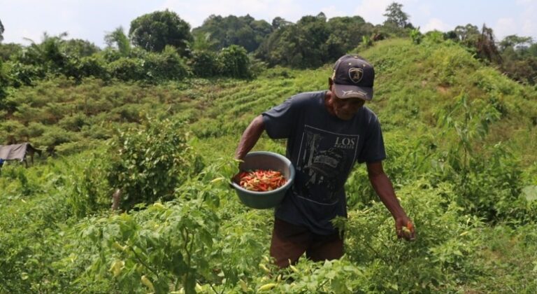 WhatsApp Image 2025-07-30 at 14.29.58 (2)