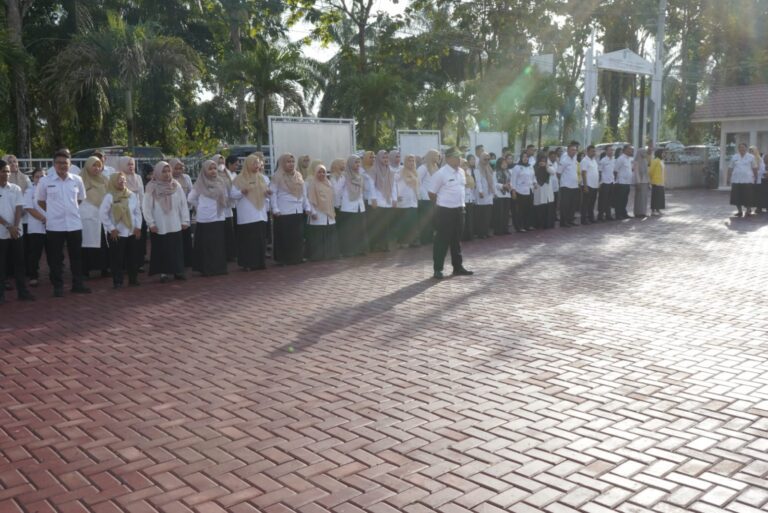 WhatsApp Image 2025-07-31 at 20.43.51