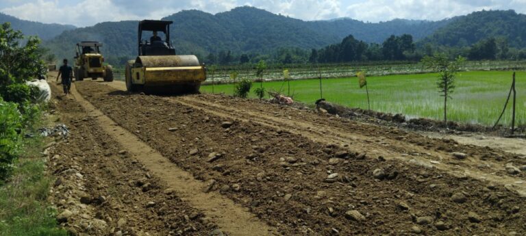 WhatsApp Image 2025-08-01 at 07.40.36