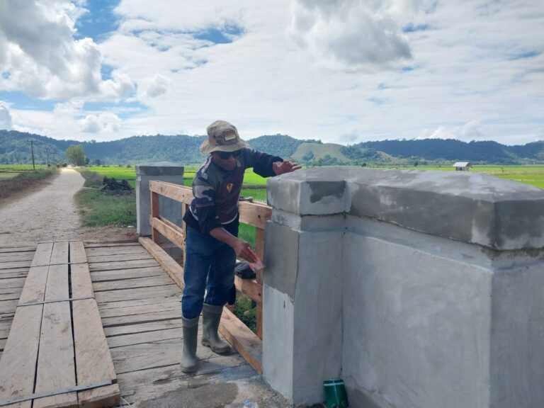 WhatsApp Image 2025-08-02 at 08.08.42