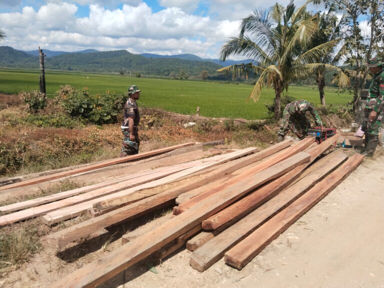 WhatsApp Image 2025-08-02 at 08.08.58