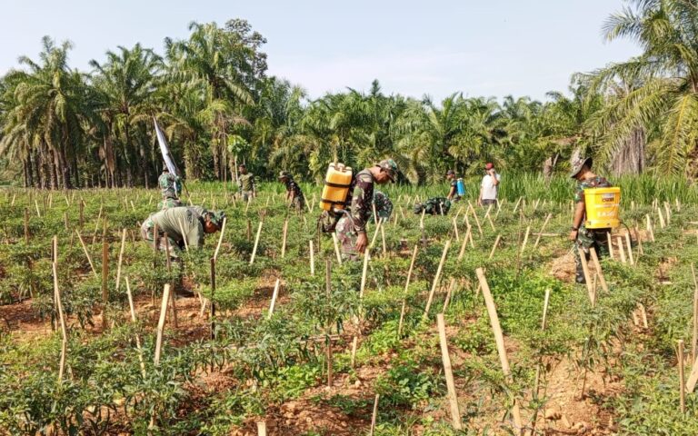 WhatsApp Image 2025-08-06 at 09.12.34