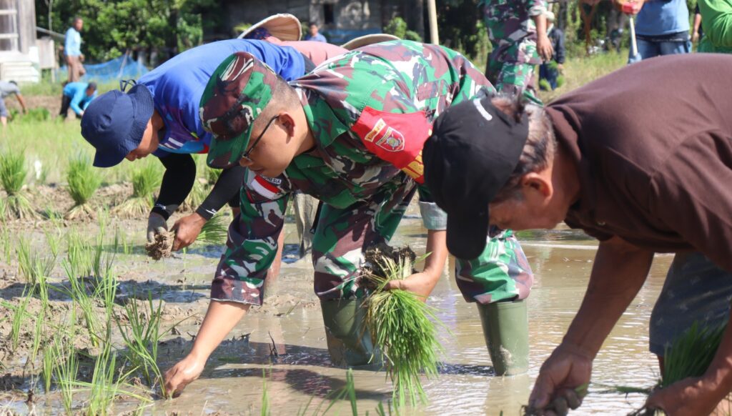 WhatsApp Image 2025-08-06 at 14.36.50 (1)