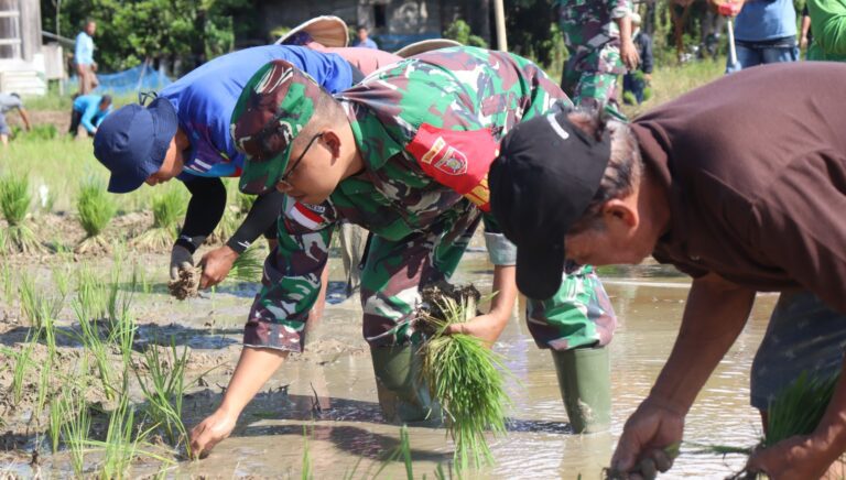 WhatsApp Image 2025-08-06 at 14.36.50 (1)