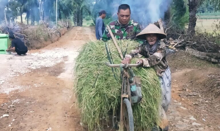 WhatsApp Image 2025-08-07 at 07.23.28