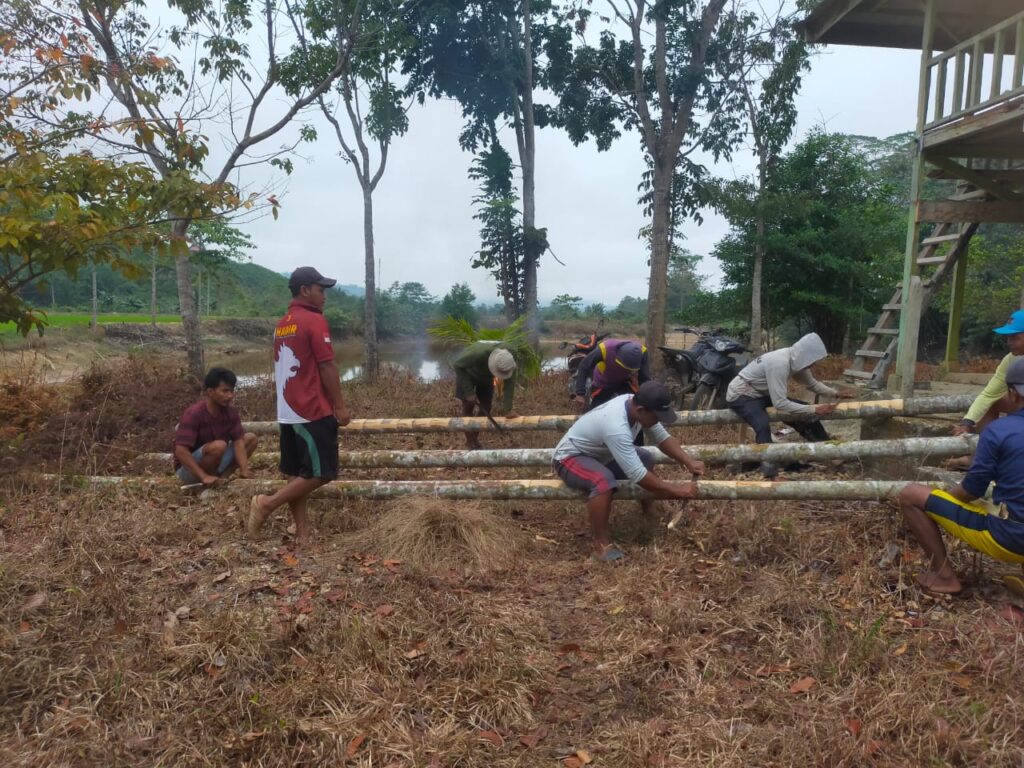 WhatsApp Image 2025-08-07 at 08.39.12