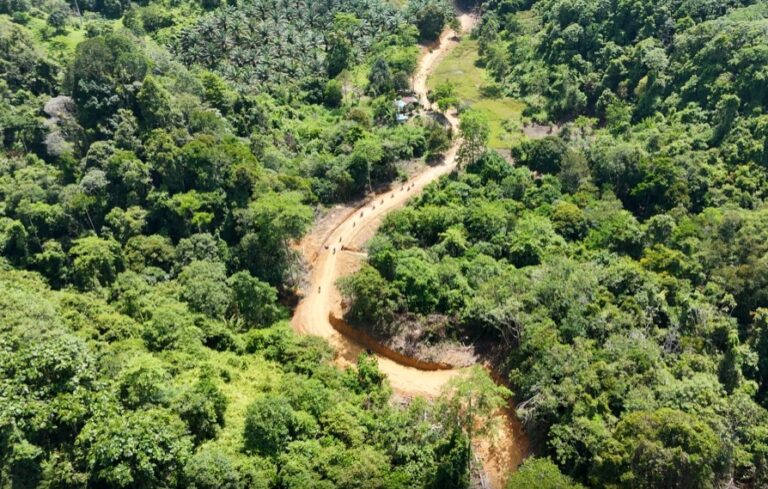 WhatsApp Image 2025-08-08 at 12.43.25 (1)