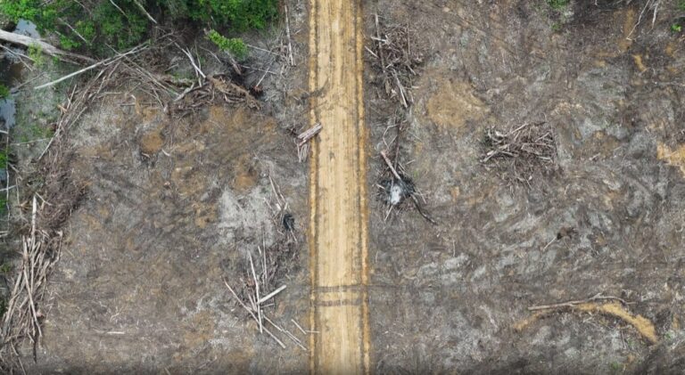 WhatsApp Image 2025-08-08 at 12.43.26 (2)