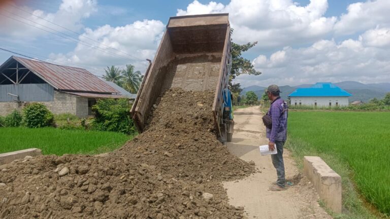 WhatsApp Image 2025-08-11 at 11.33.10 (1)