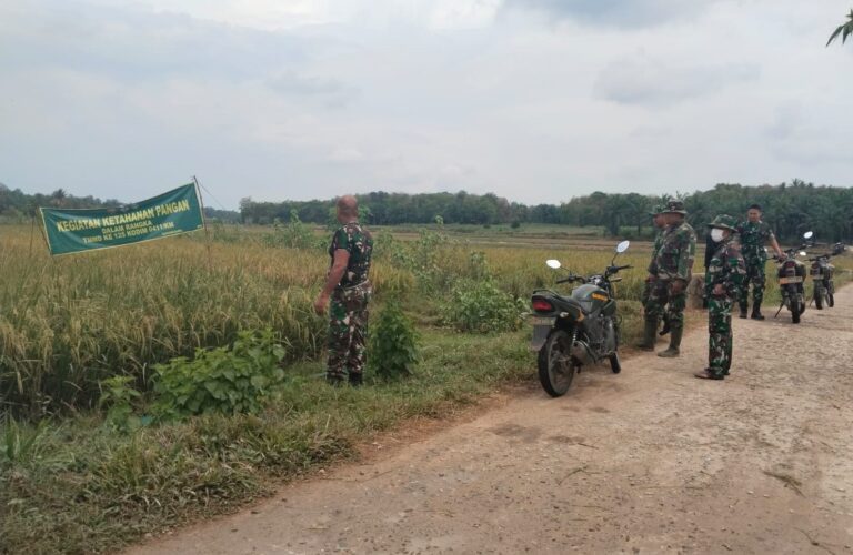 WhatsApp Image 2025-08-15 at 10.57.36 (1)