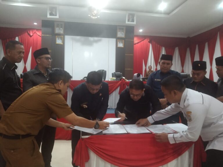 WhatsApp Image 2025-08-15 at 14.25.57