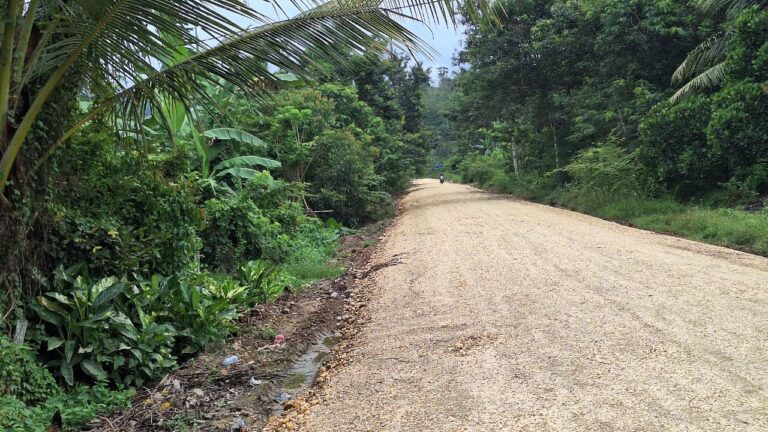 WhatsApp Image 2025-08-18 at 11.11.22 (2)