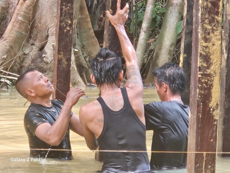 WhatsApp Image 2025-08-19 at 13.55.53