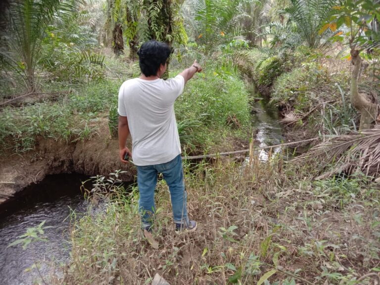 WhatsApp Image 2025-08-20 at 19.56.57 (1)