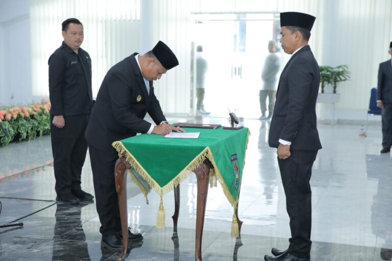 WhatsApp Image 2025-08-21 at 18.06.15