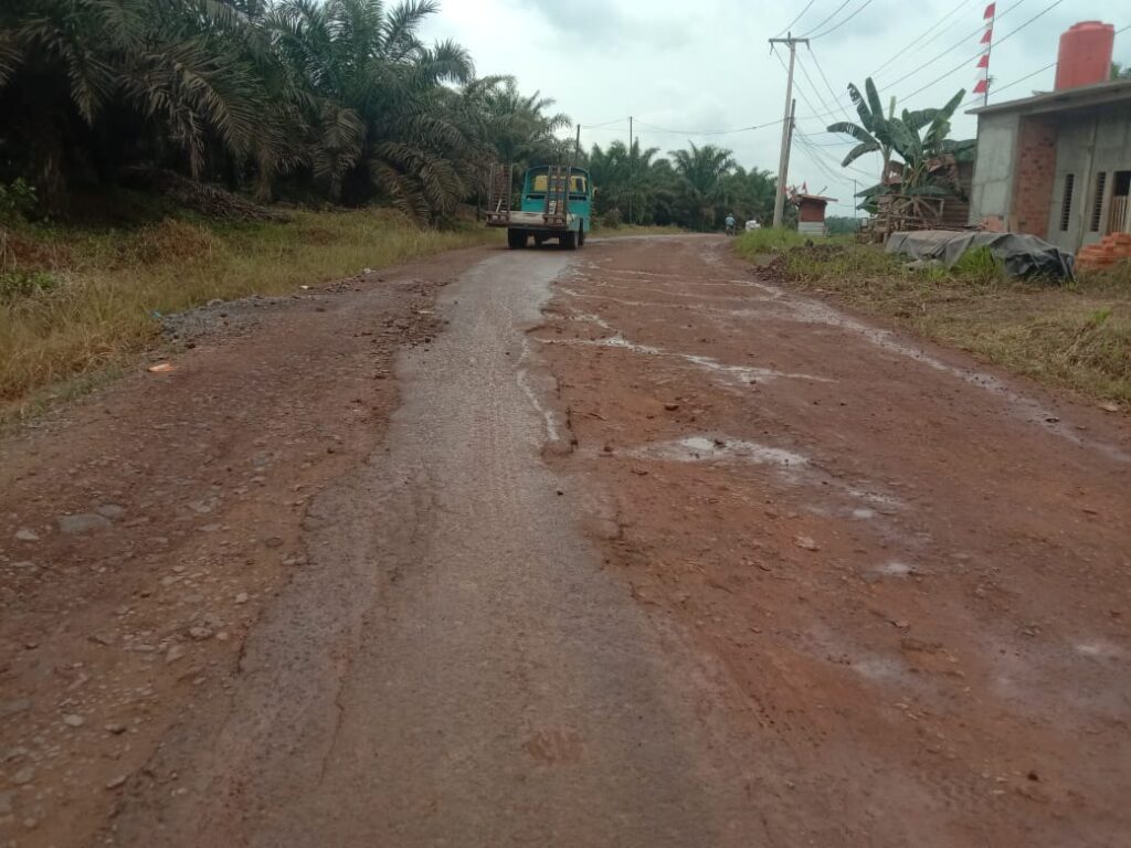 WhatsApp Image 2025-08-31 at 10.31.53