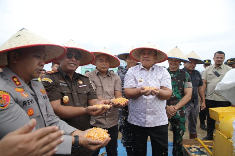 WhatsApp Image 2025-09-29 at 10.05.17