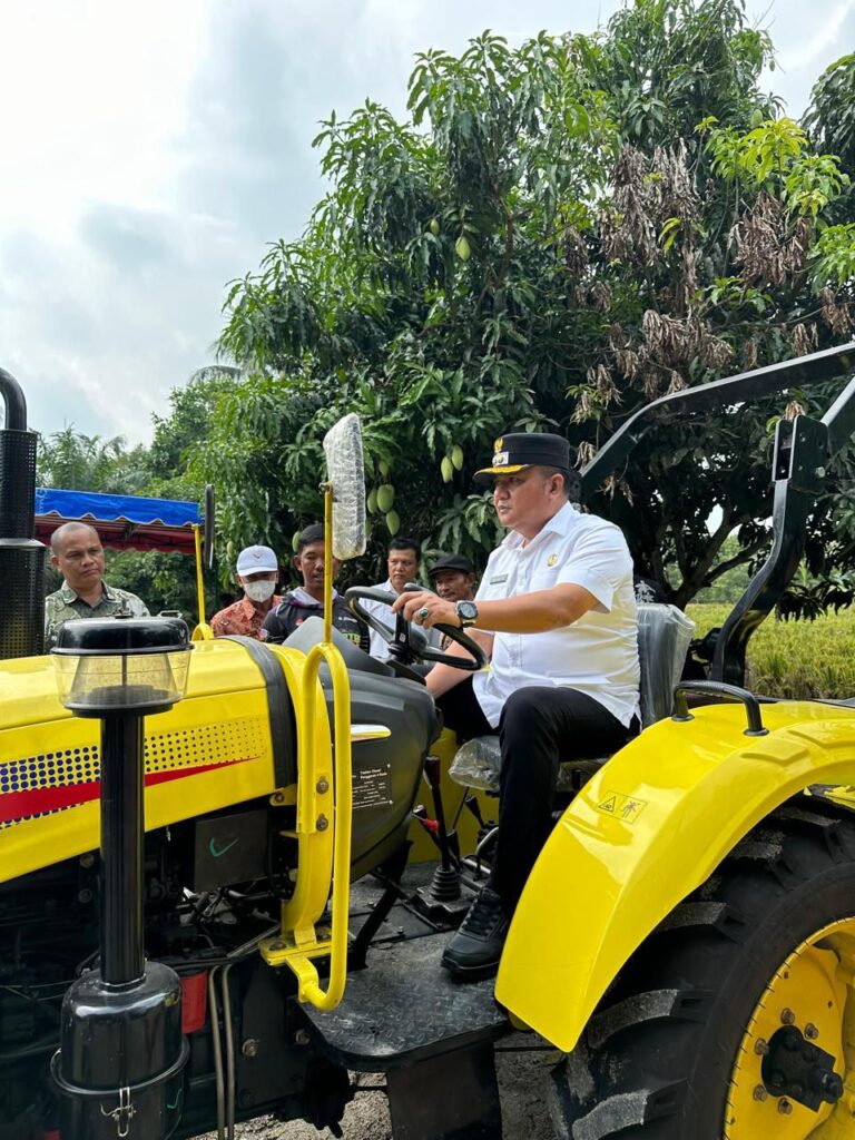 WhatsApp Image 2025-10-07 at 15.08.27