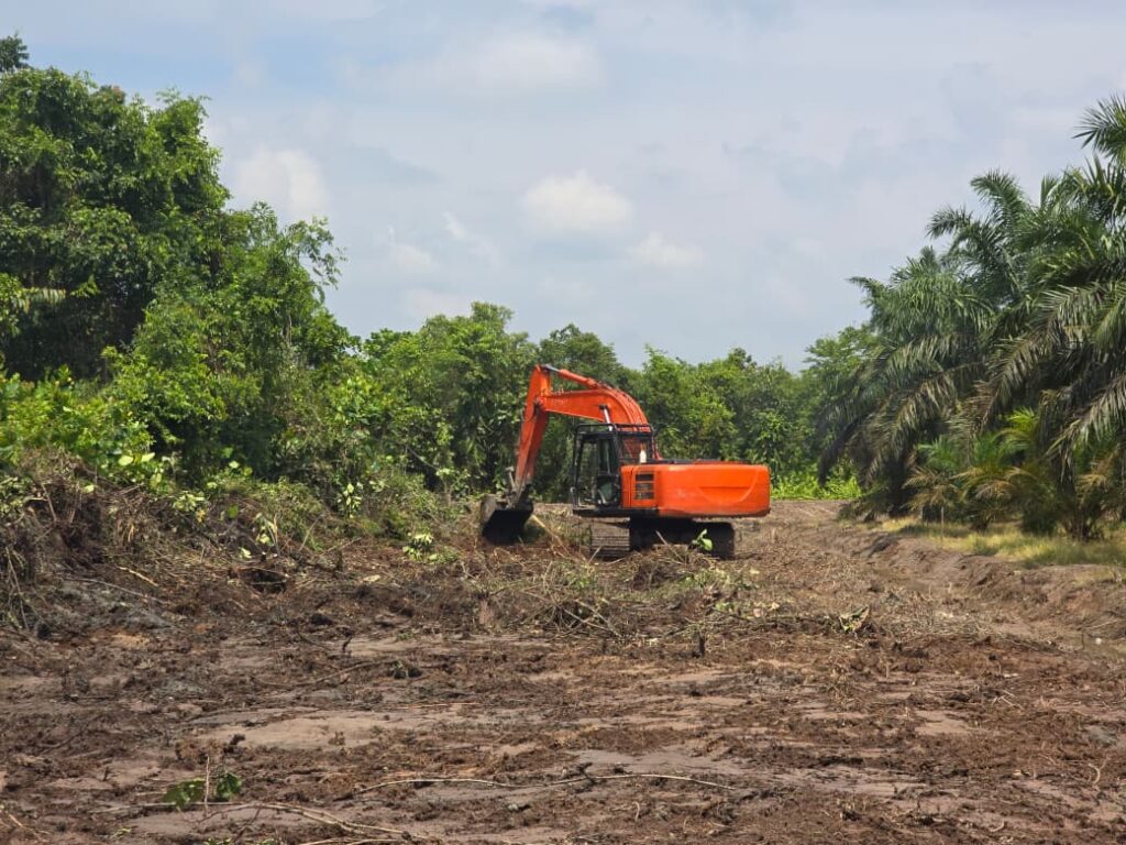 WhatsApp Image 2025-10-09 at 12.26.14 (1)