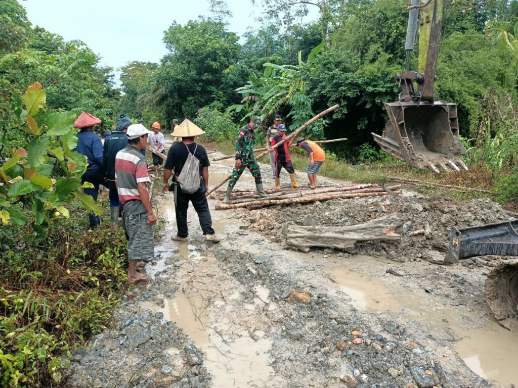 WhatsApp Image 2025-10-09 at 14.28.47 (1)