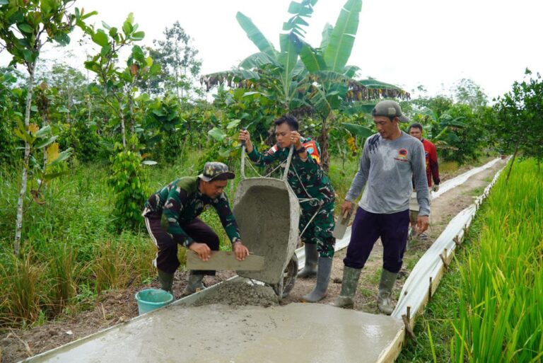 WhatsApp Image 2025-10-10 at 09.56.01