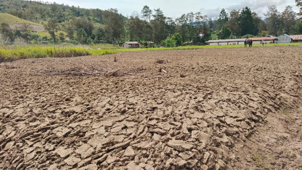 WhatsApp Image 2025-10-10 at 13.16.01