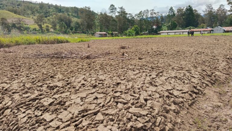 WhatsApp Image 2025-10-10 at 13.16.01