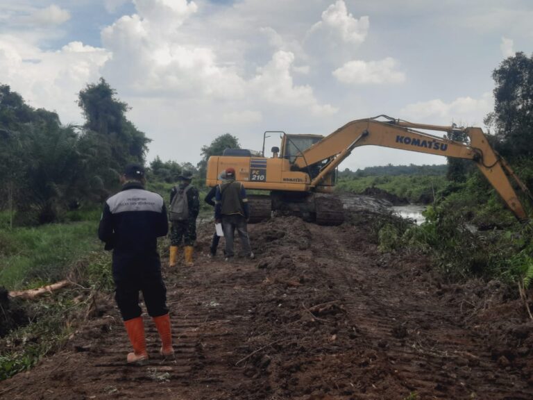 WhatsApp Image 2025-10-10 at 14.45.17 (1)