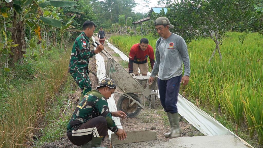 WhatsApp Image 2025-10-11 at 09.36.21 (1)