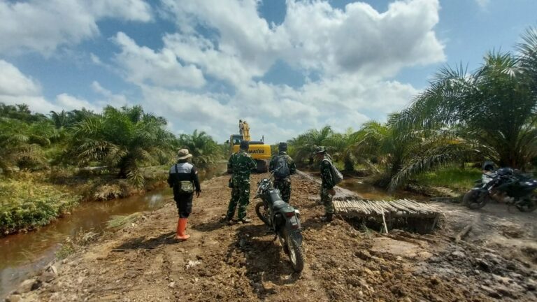 WhatsApp Image 2025-10-11 at 12.43.47