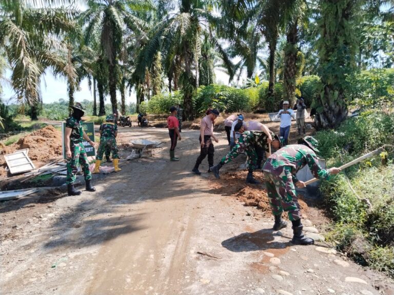 WhatsApp Image 2025-10-12 at 04.56.49