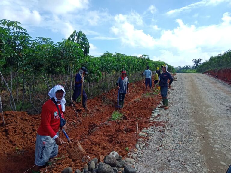 WhatsApp Image 2025-10-12 at 04.56.53